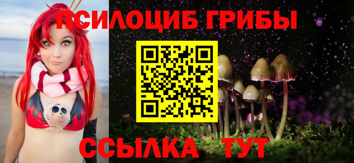 Волжск  Галлюциногенные грибы мицелий  Вход с VPN 
